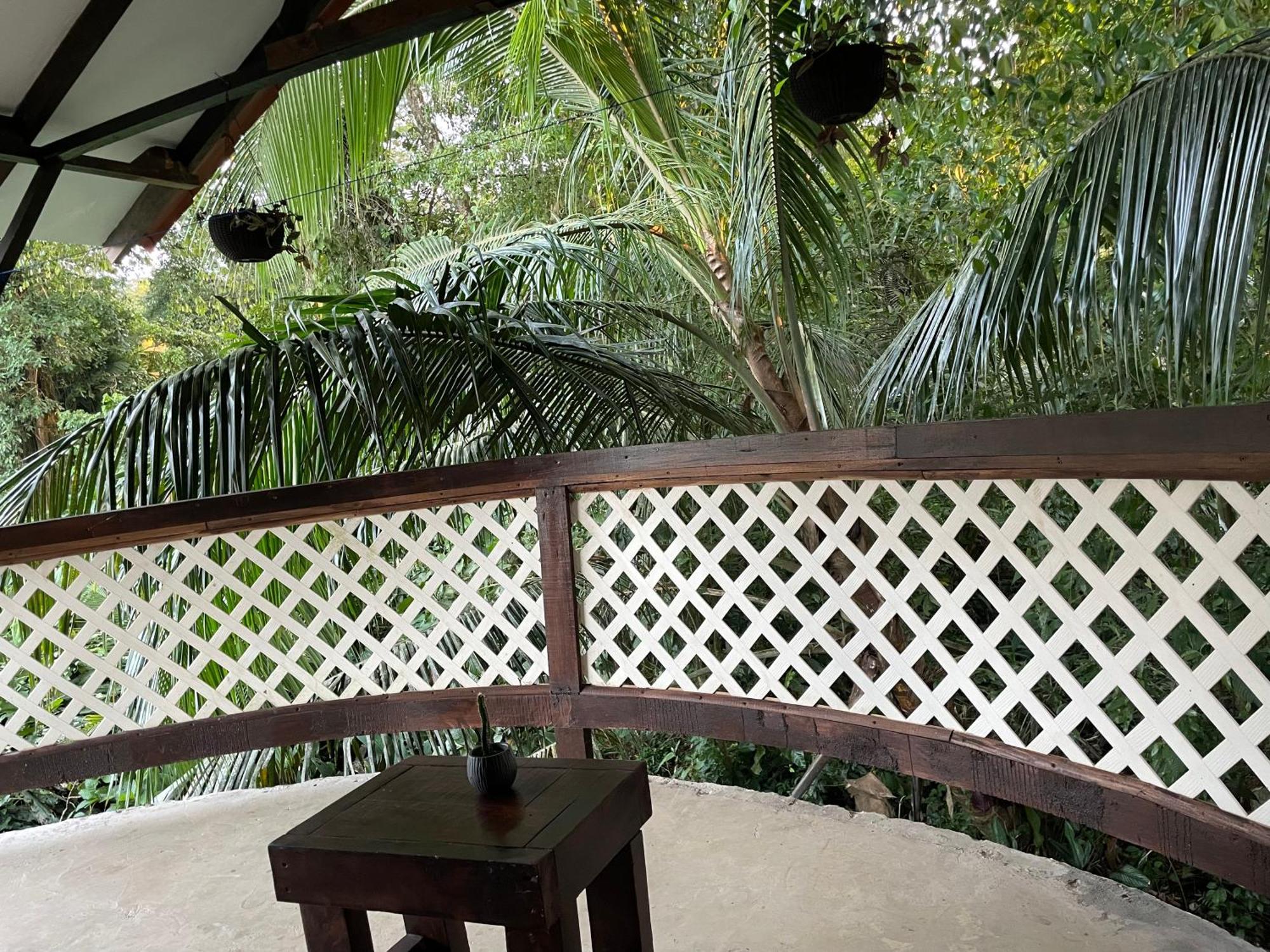 Casa Jaguar Tortuguero Villa Buitenkant foto