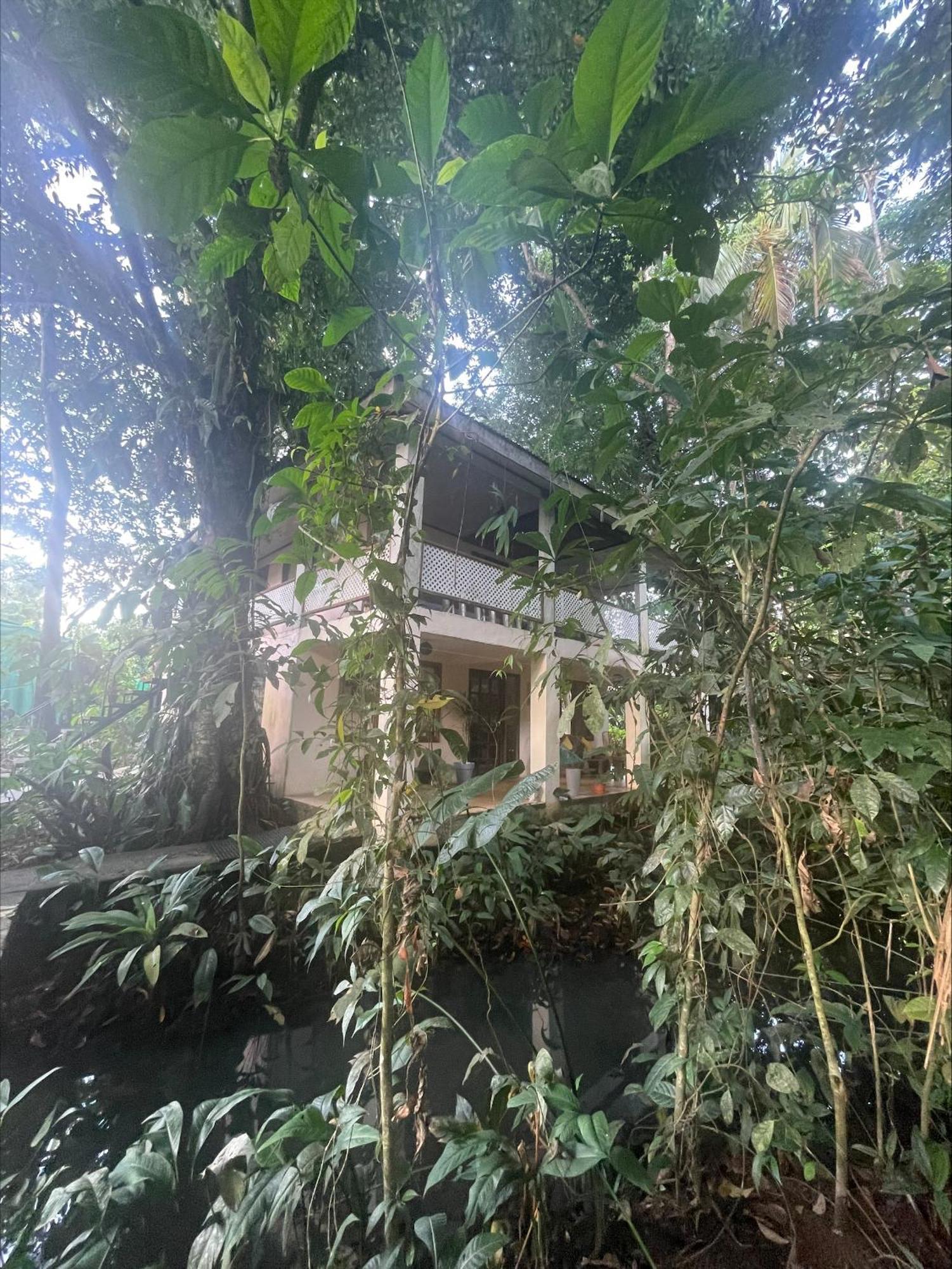 Casa Jaguar Tortuguero Villa Buitenkant foto