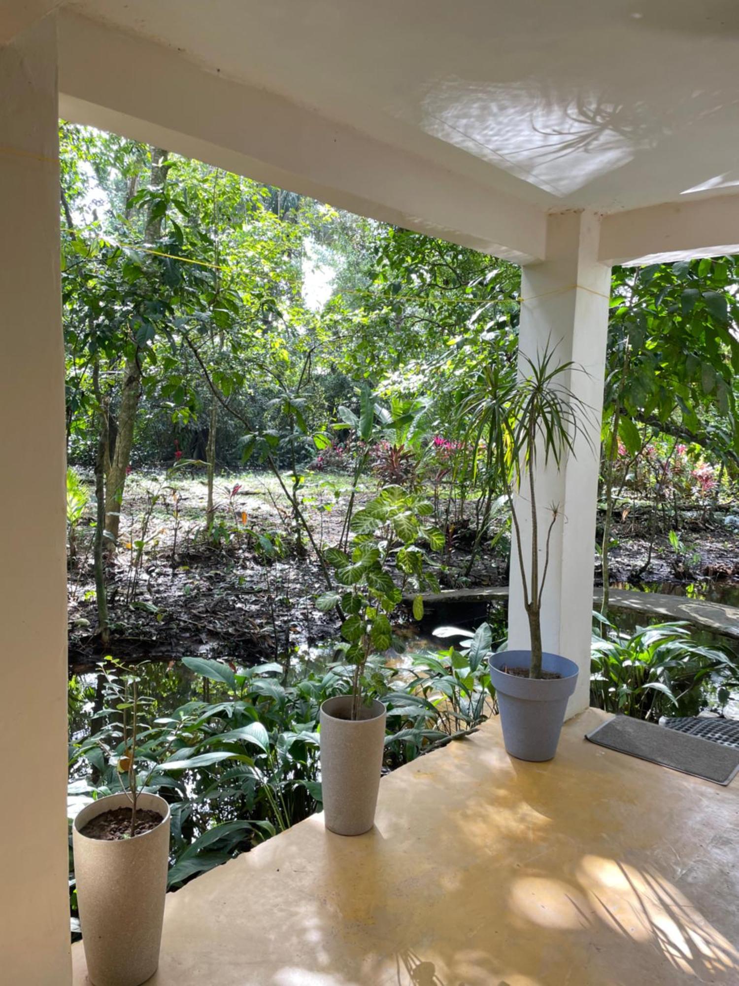 Casa Jaguar Tortuguero Villa Buitenkant foto